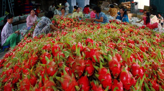 Nông sản Viá»t khoác âáo ngoạiâ!