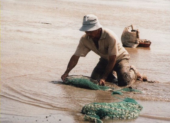 Over 100 tons of clam in Ben Tre die due to high salinity level