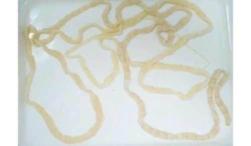 Kh&ocirc;ng qu&aacute; hoang mang