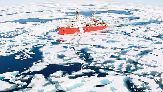 Các nước nhất trí không đánh bắt cá ở Bắc cực vì mục đích thương mại