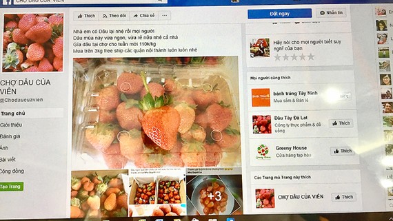 “Mỏ vàng” kinh doanh trực tuyến Trang bán hàng trực tuyến “Chợ dâu của Viên” được nhiều khách hàng ghé thăm