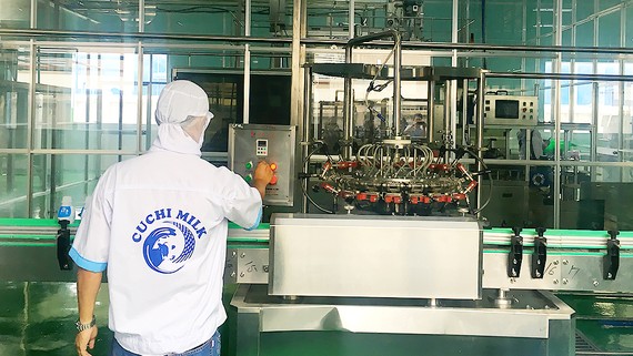Từ nguồn vốn chính sách hỗ trợ nhà nước, HTX bò sữa Tân Thông Hội xây dựng nhà máy chế biến sữa hiện đại. Ảnh: THANH HẢI