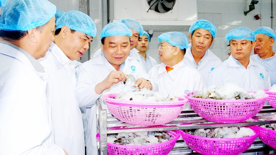 Thủ tướng Nguyễn Xuân Phúc thăm Nhà máy chế biến tôm Minh Phú ở Cà Mau