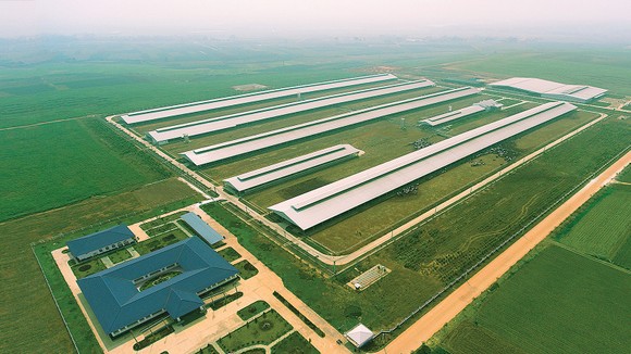 Vinamilk mở rộng đầu tư vào miền Tây Nam bộ ảnh 2