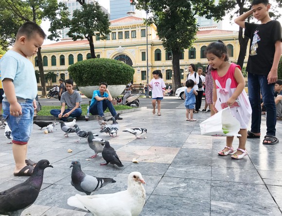 Vui chơi cuối tuần ở TPHCM ảnh 2