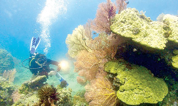 Lung linh Việt Nam ảnh 6