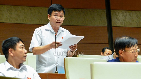 ĐBQH: "Thời bình rồi, sao nhiều tướng đến thế!" ảnh 1