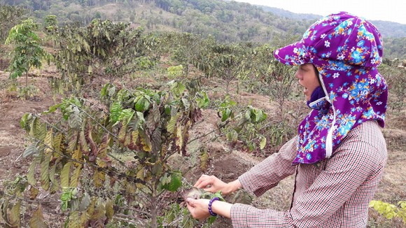 Chưa thống nhất đền bù, đã đề xuất cho mỏ đá hoạt động lại ảnh 2
