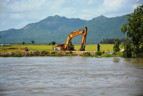 Lũ vượt báo động 2, nhiều nơi ngưng xuống giống lúa thu đông ảnh 2