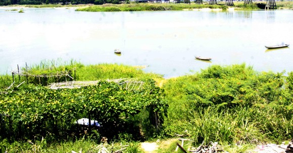 Hội Nghề cá Quảng Ngãi lo lắng nguồn lợi thủy sản, sinh kế dự án Đập dâng hạ lưu sông Trà Khúc ảnh 3