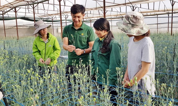 Làm nông kiểu Nhật ảnh 1