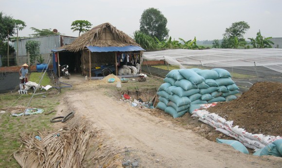 Tài nguyên đất chưa được sử dụng hiệu quả ảnh 1