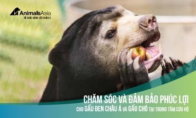 Ra mắt sách hướng dẫn trồng cây thảo dược thay thế mật gấu ảnh 3