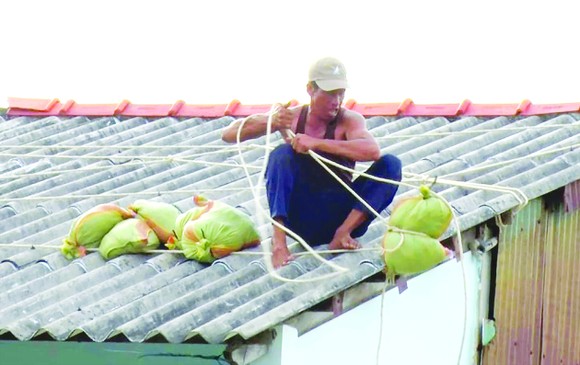 Gồng mình vượt bão ảnh 2