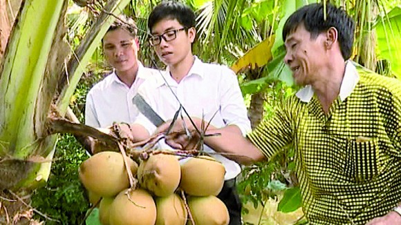 Homestay ở Tam Nông ảnh 1