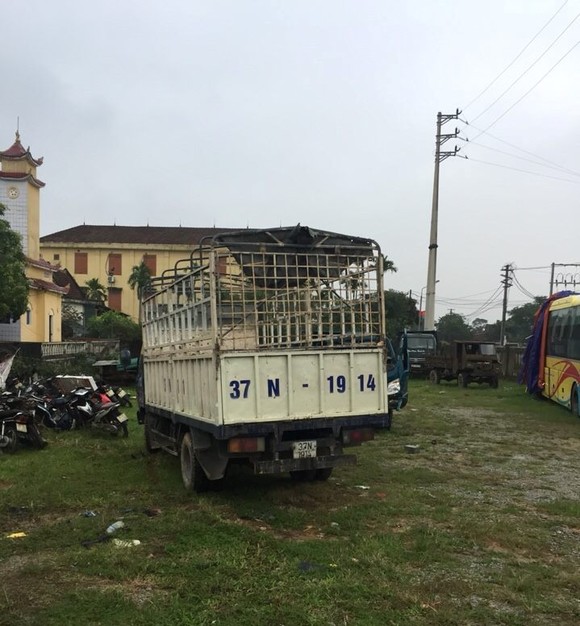 Thuê xe ô tô tải đi bắt trộm 8 con trâu ảnh 1