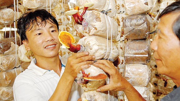 Nguồn lực đô thị sáng tạo ảnh 4