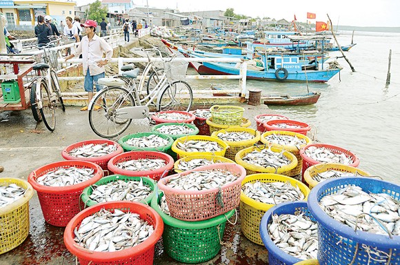 Khởi sắc ở xã đảo nghèo ảnh 1