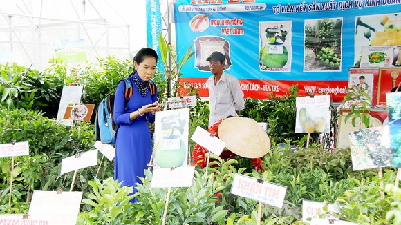 Hội chợ Giống nông nghiệp lần 5 - hiệu quả, thiết thực ảnh 1