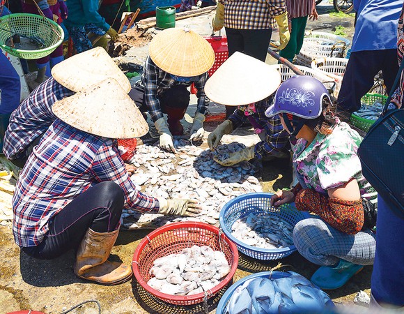 Mưu sinh bến cá trưa ảnh 4
