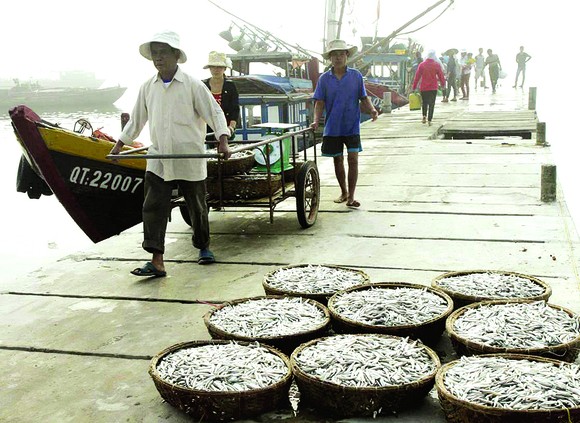 Chạy đua với tết ảnh 2