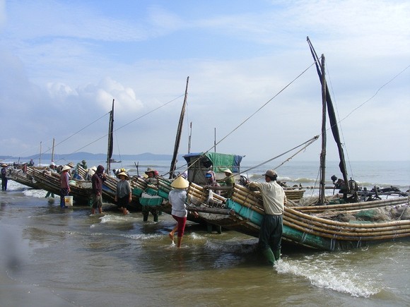 Mùa “tép nhảy” ảnh 1