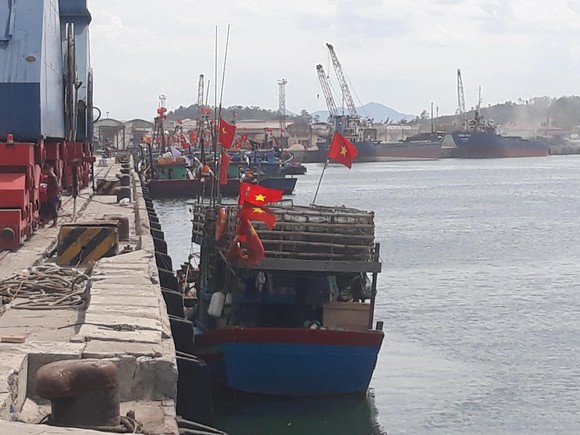 Tàu cá 'phá' tàu hàng ảnh 1