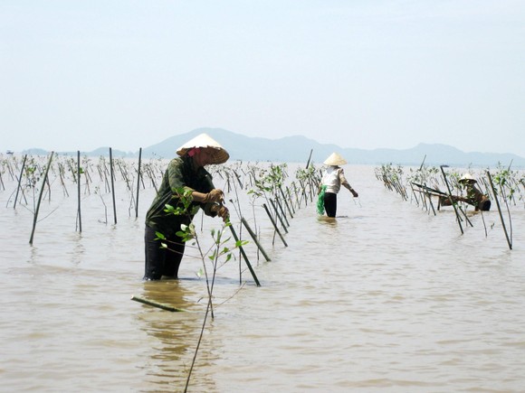 Quỹ Cộng đồng phòng tránh thiên tai: Xây dựng gần 100 công trình cho người dân vùng thiên tai ảnh 1