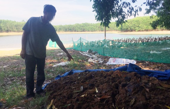 Điêu đứng vì đàn vịt trị giá 100 triệu bị kẻ xấu đầu độc chết chất thành đống ảnh 2