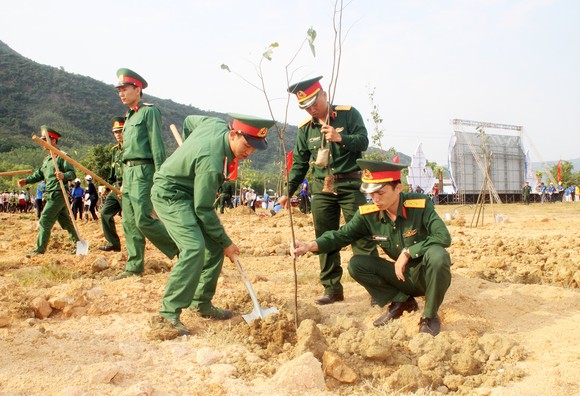 Trồng mới 2 triệu cây xanh phát động Tháng Thanh niên 2019 ảnh 4