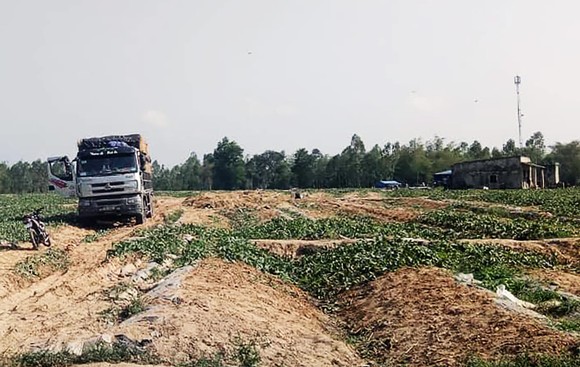 Chủ cho vay nặng lãi "vây" ruộng dưa của anh nông dân Bình Định để đòi nợ ảnh 1