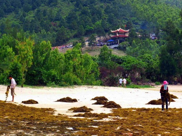 Ngắm cung đường đẹp nhất Vũng Chùa dưới rặng Hoành Sơn ảnh 16