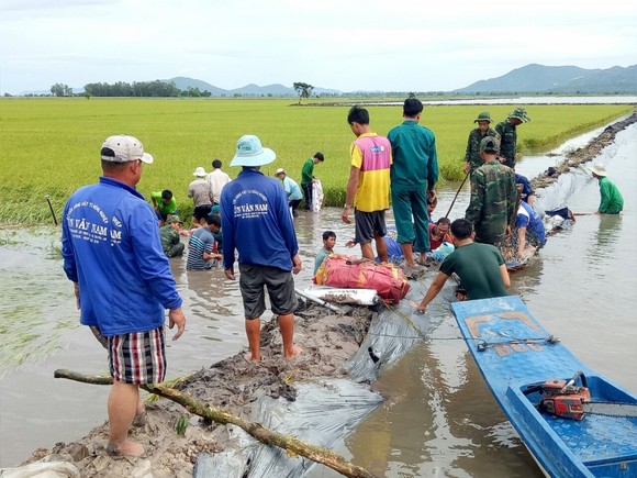 ĐBSCL khẩn cấp gặt lúa chạy lũ ở vùng biên giới ảnh 3