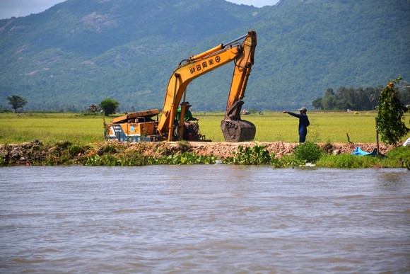 ĐBSCL khẩn cấp gặt lúa chạy lũ ở vùng biên giới ảnh 5
