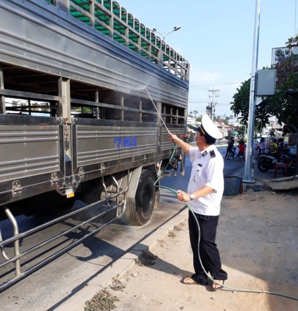 Dồn sức phòng chống dịch tả heo châu Phi ở ĐBSCL ảnh 1