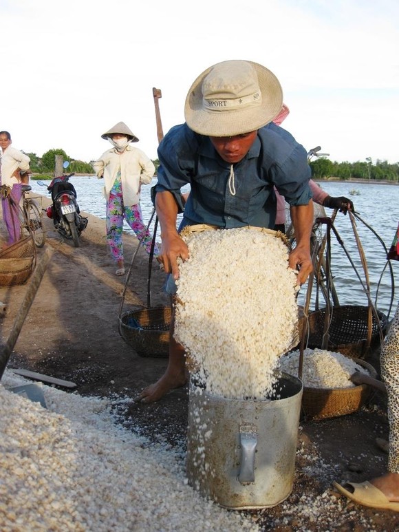 Nắng nóng, diêm dân ĐBSCL được mùa ảnh 1