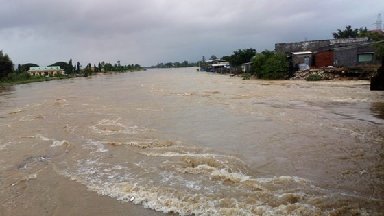 Nearly 29,000 houses moved due to huge flooding ảnh 8