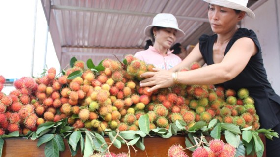 Rambutan, coconut prices increase to record high in Mekong Delta ảnh 1