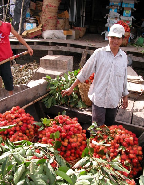 Rambutan, coconut prices increase to record high in Mekong Delta ảnh 2