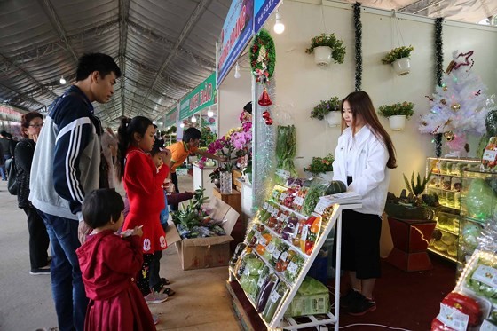 VIDEO: Visitors enjoy high-tech agriculture fair in Dalat ảnh 4