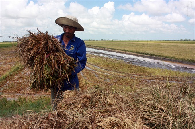 Mekong region prepares for early season flooding ảnh 1