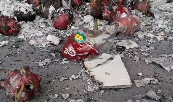 Fire destroys hundreds of tons of dragon fruit in Binh Thuan ảnh 2