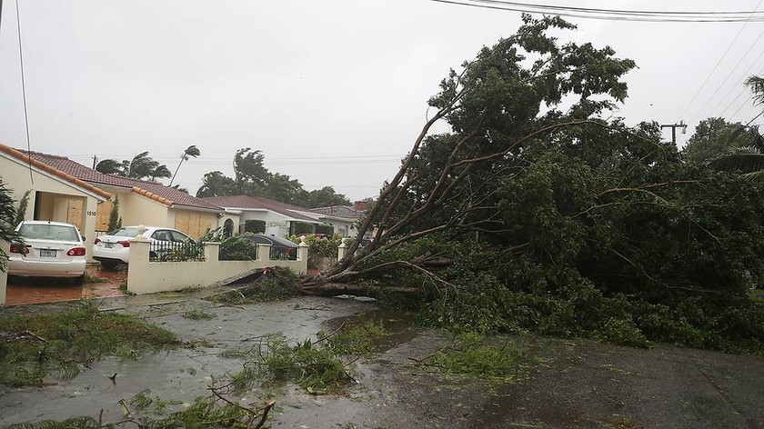 Bão Irma trút cơn thịnh nộ xuống Florida ảnh 1
