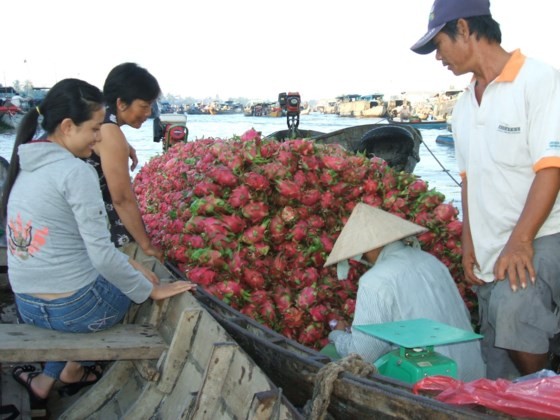 Sáng 7-7, UBND TP Cần Thơ tổ chức lễ khai mạc “Ngày hội du lịch chợ nổi Cái Răng 2017”. ảnh 1