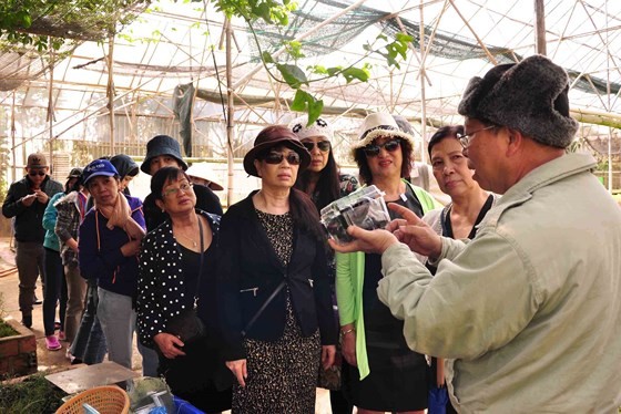 Triển khai bộ quy tắc ứng xử du lịch tại TP Đà Lạt ảnh 3