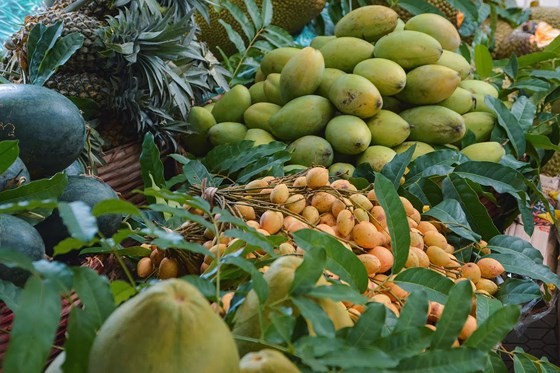 Liên hoan Ẩm thá»±c Äất phương Nam ảnh 3