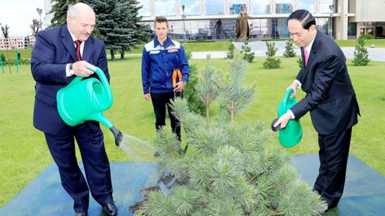 VN & Belarus to strengthen multifaceted cooperation ảnh 1