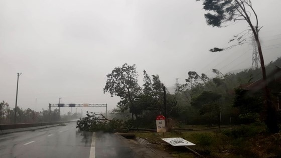 Typhoon Doksuri makes landfall in central provinces ảnh 1