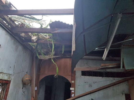 Cyclone sweeps through Lam Dong ảnh 2