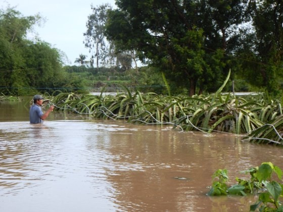 Flooding suddenly occurs in Binh Thuan ảnh 1